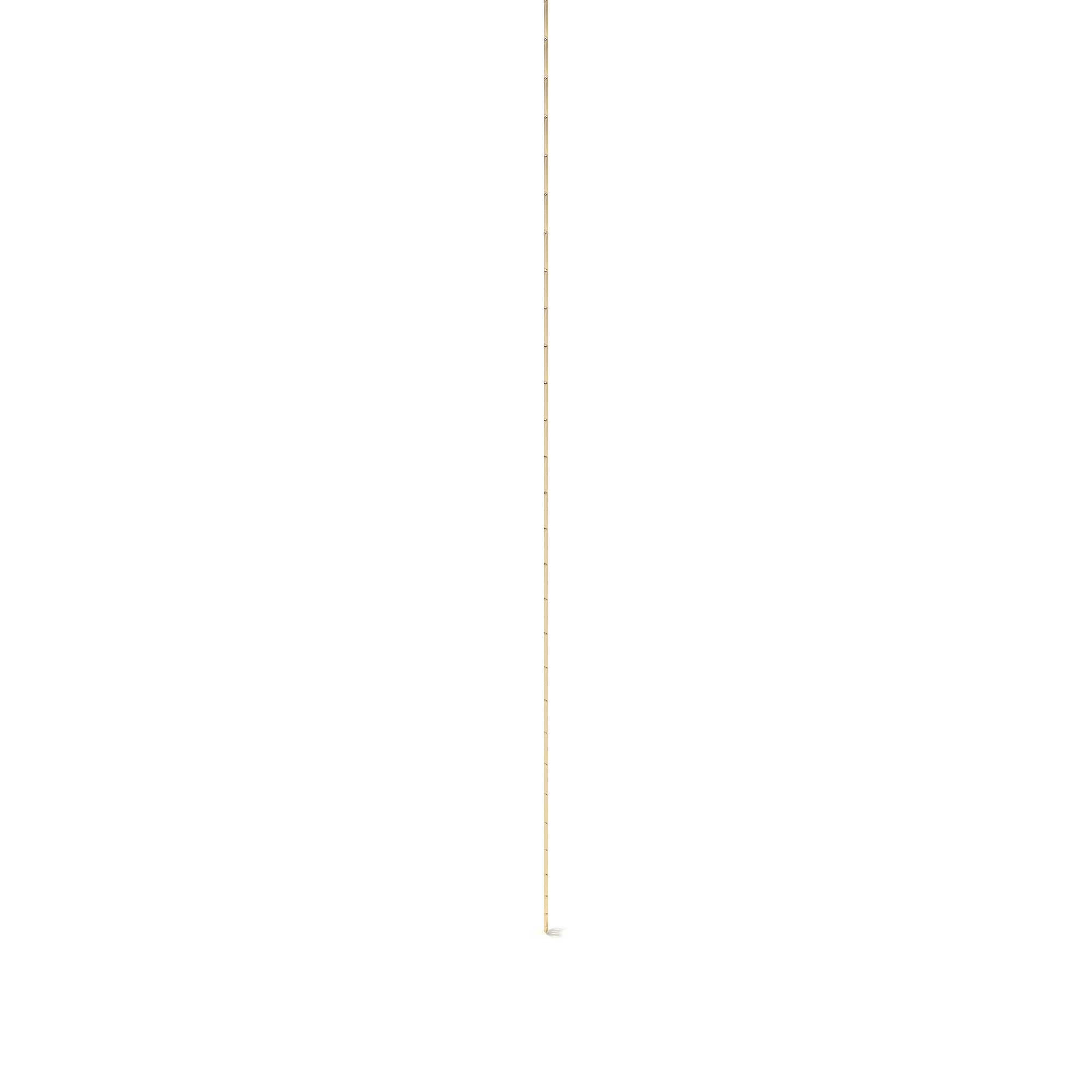 10K Gold Valentino Chain 55cm | Italian Gold Necklace 2.3mm with Spring Ring Clasp | Fine Jewelry